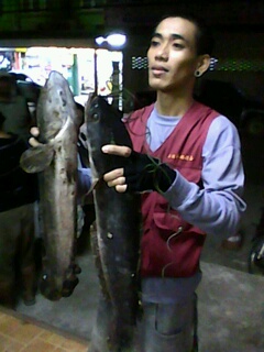 ใหญ่ ส่วาง เขาจัดให้