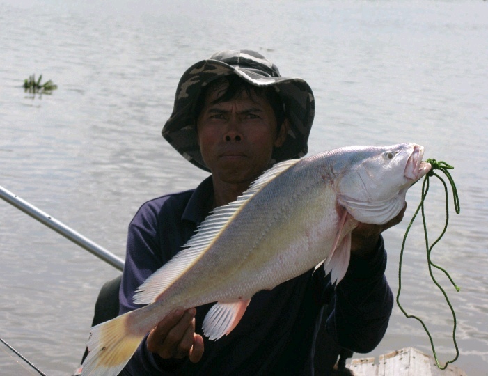 ม้าพยศที่ท่าสะอ้าน