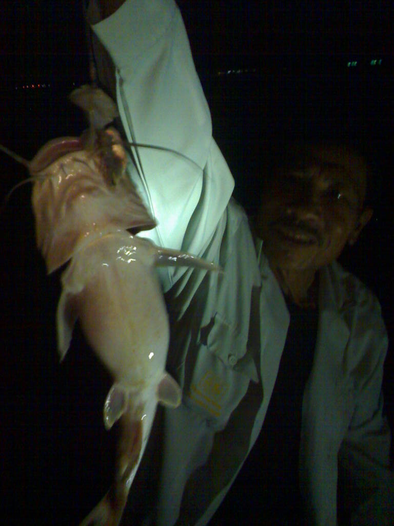 ปลากดชายฝั่ง ที่บางสะพาน