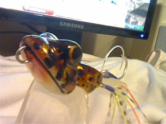blue-planet   lure