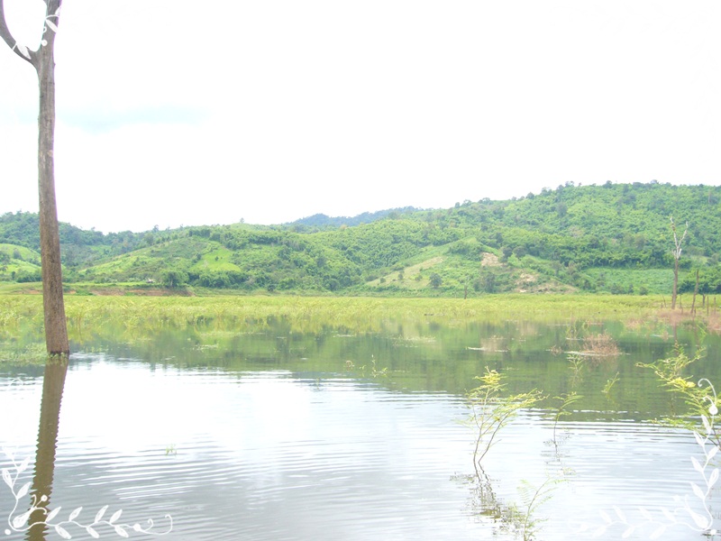 เยือนถิ่นเก่า.....ที่เขาแหลม