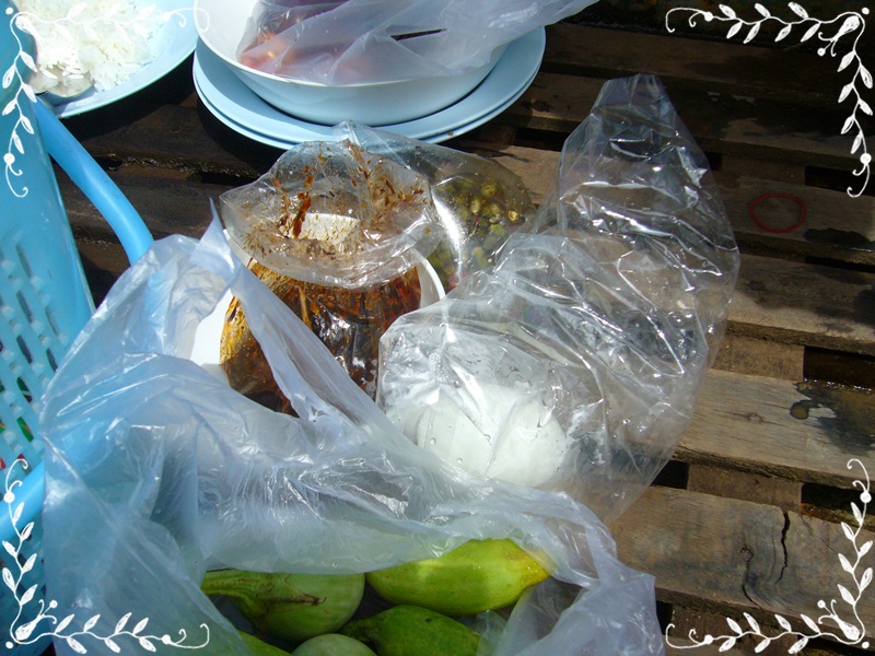 เยือนถิ่นเก่า.....ที่เขาแหลม