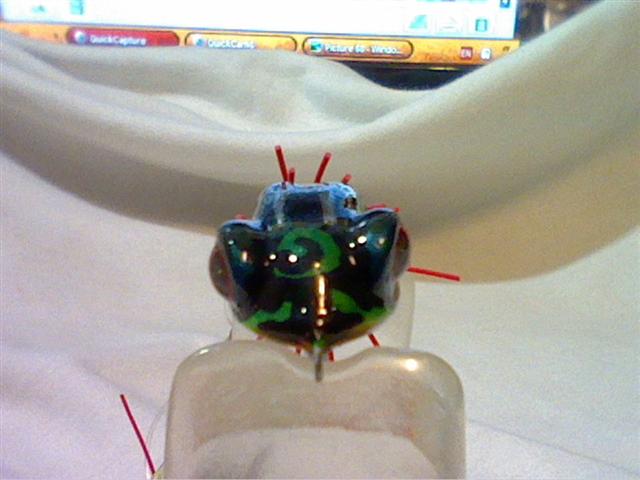 2สหายตะลุยหนองหัวลาว (blue-planet  lure)