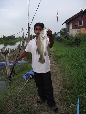เยี่ยมบ่อเทคซัสชวนชมกับปลากระพงใหม่