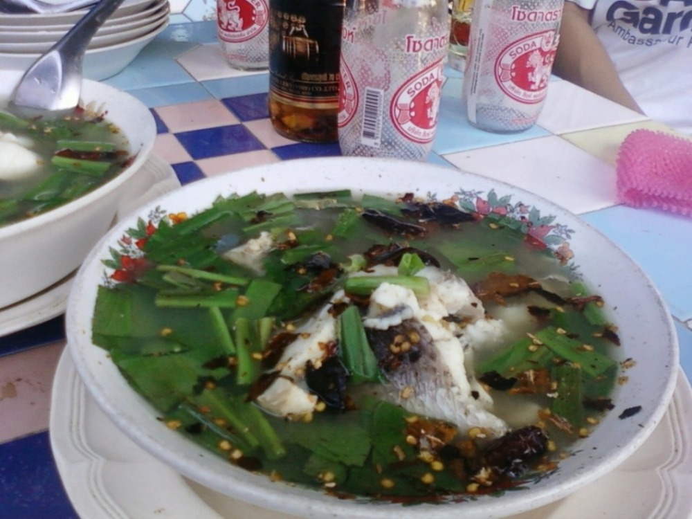 ปลาช่อนขาวจวั๊ะ