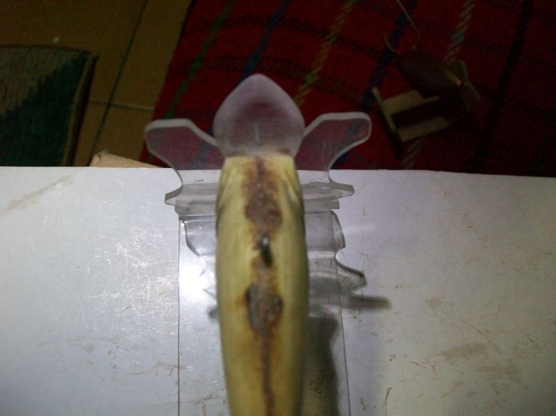 ห่าง หาย ไป นาน ......