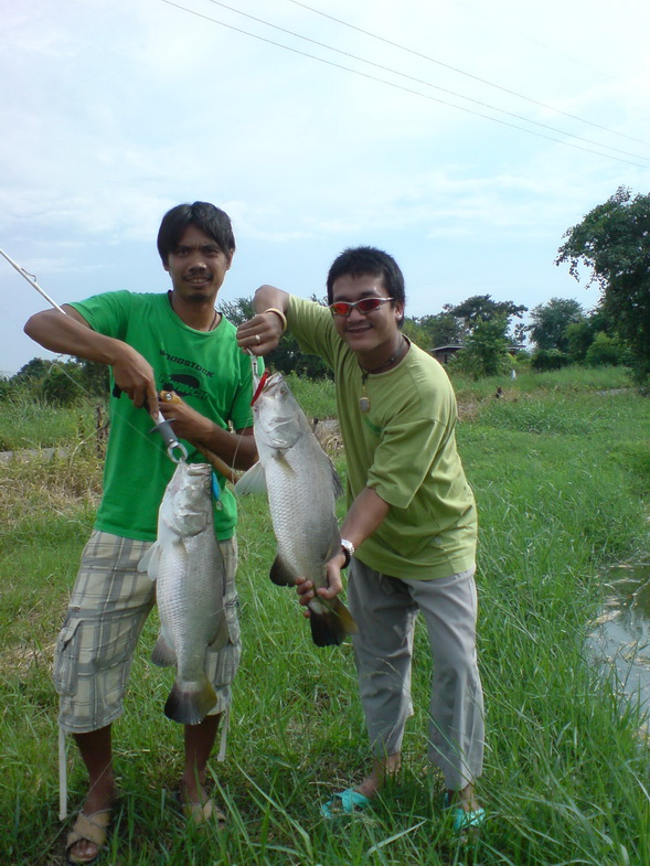 ด่วน...กะพงขัง3-5kg  13 ตุลา นี้ 