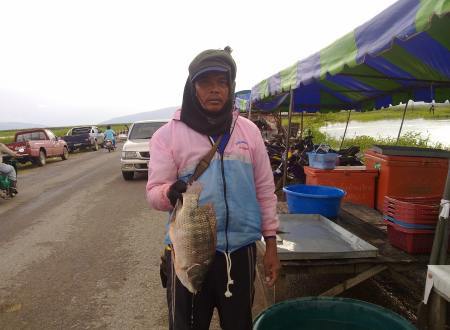 งานกินปลาเขื่อนลำตะคอง