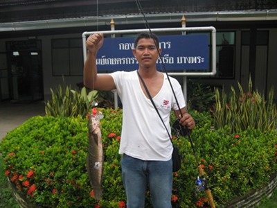 ช่อนเกษตร ทร.บางพระ