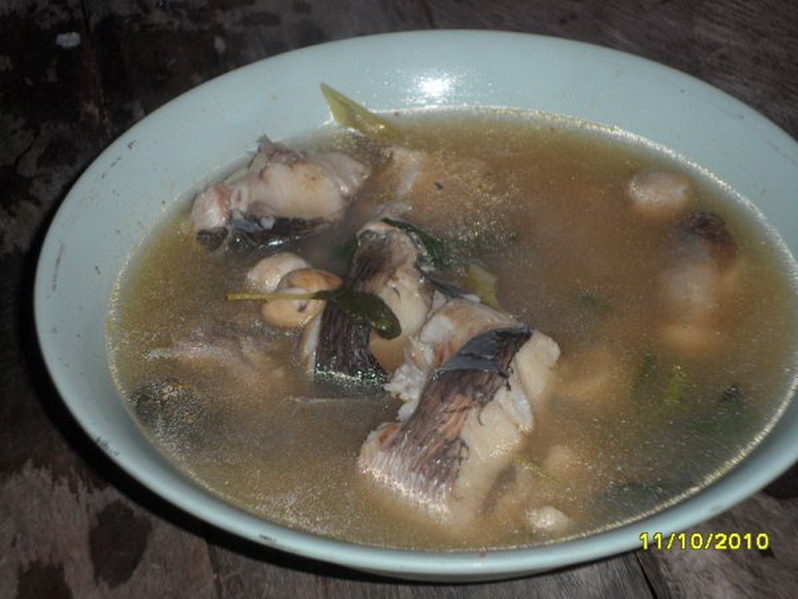 ปลาเก๋ากัดปลาช่อน ท้องนาแถวๆห้วยใหญ่