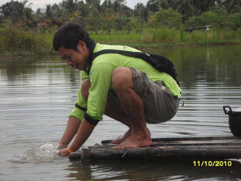 ปลาเก๋ากัดปลาช่อน ท้องนาแถวๆห้วยใหญ่