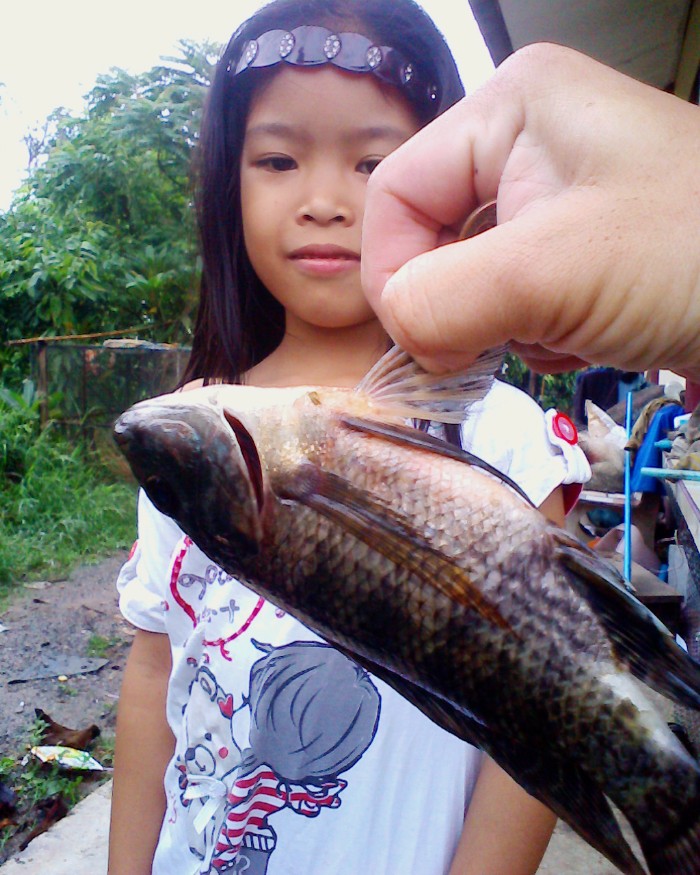 น้ำมา ปลามา **เปลี่ยนอาวุธ**