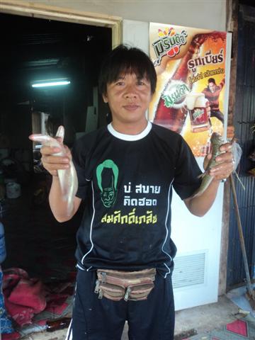 ไม่หวั่นแม้วันลมแรง