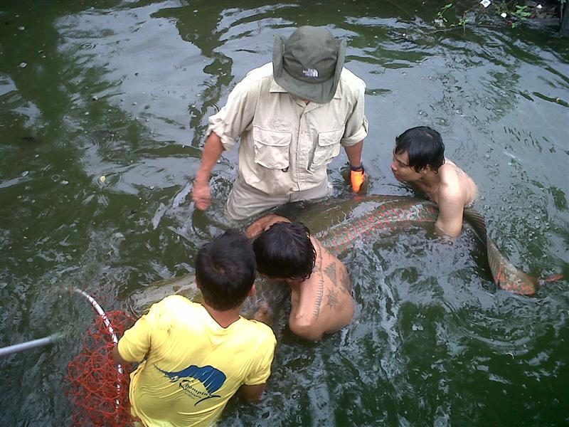 บึงสำราญ ณ วันฟ้ารั่ว