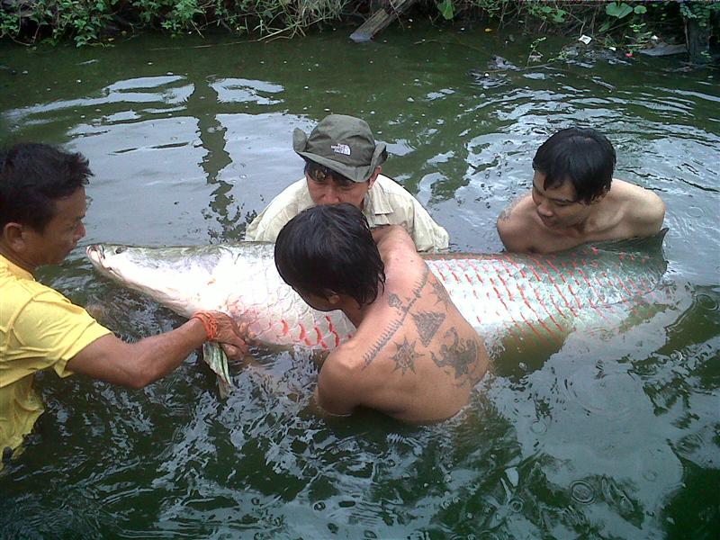 บึงสำราญ ณ วันฟ้ารั่ว