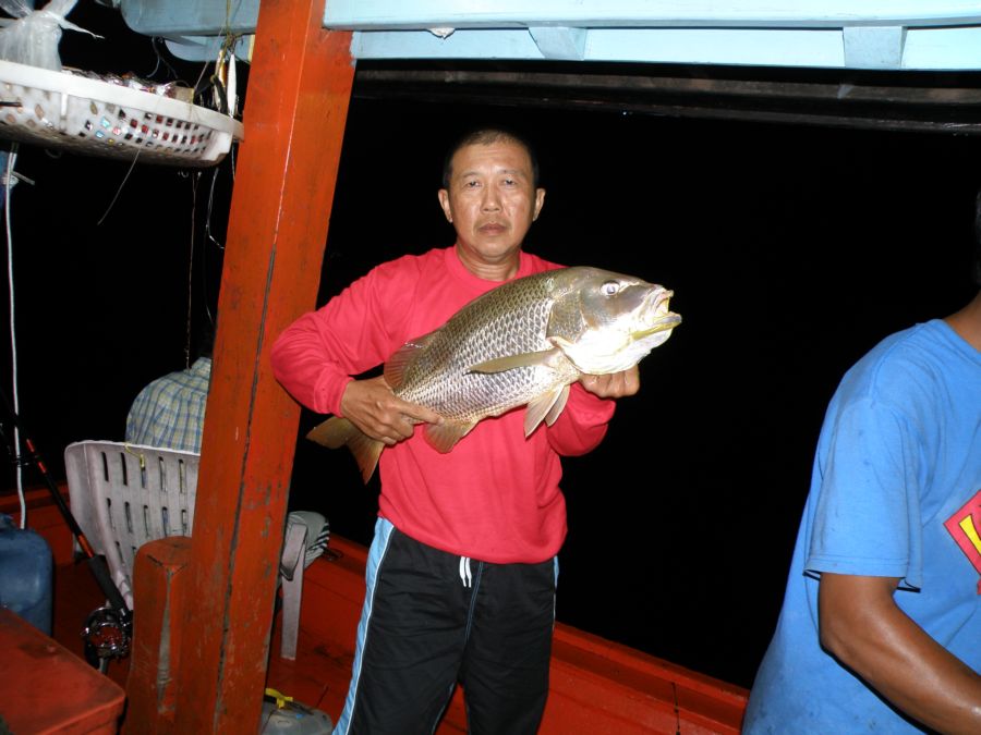 ลุยทะเลสตูลกับเรือการประมง  3-5 พ.ย. 53