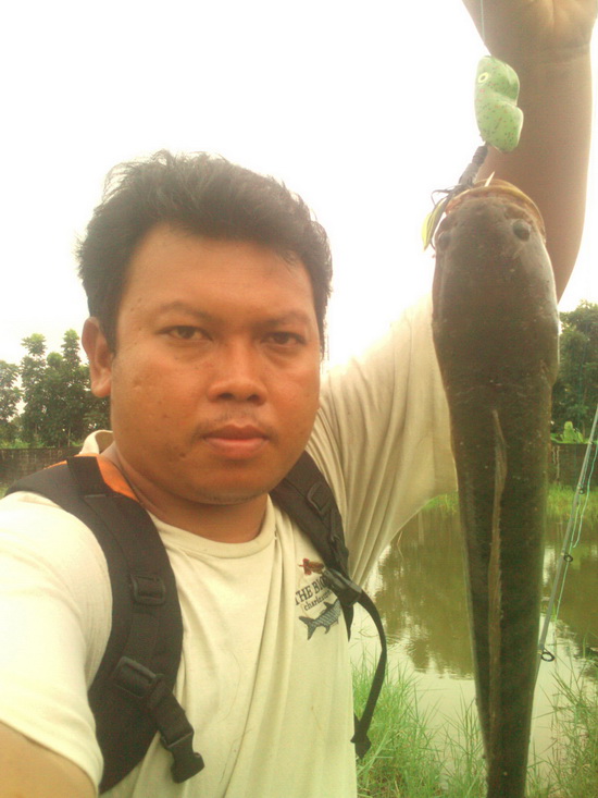 scum frog เขียว คะนองนา