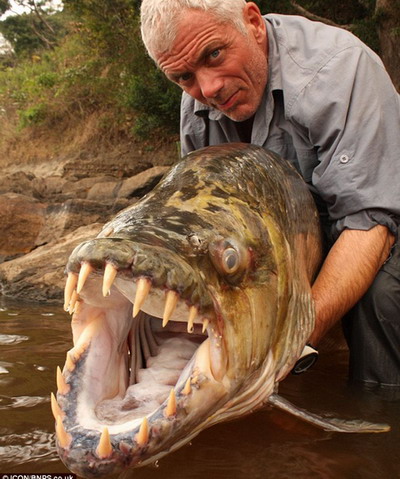 River monster