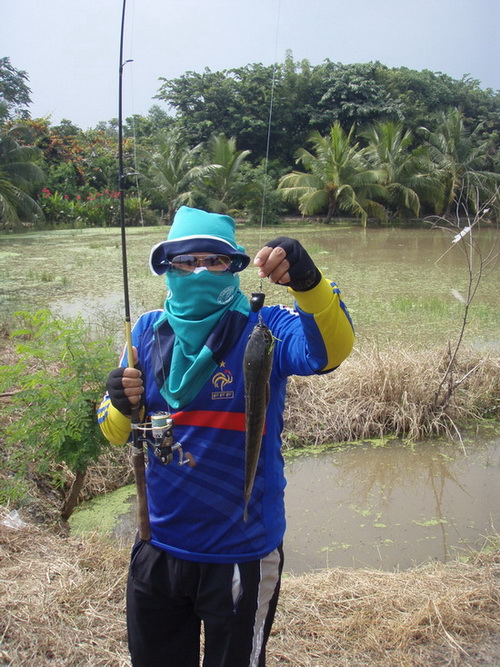 scum frog กบตัวนี้สีแดง อ่ะ...