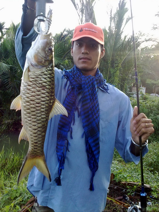 กระสูบ วันหยุด