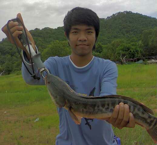 รวมๆ ชะโด กระสูบมาให้ชมคับ เอิ้กๆๆ 2
