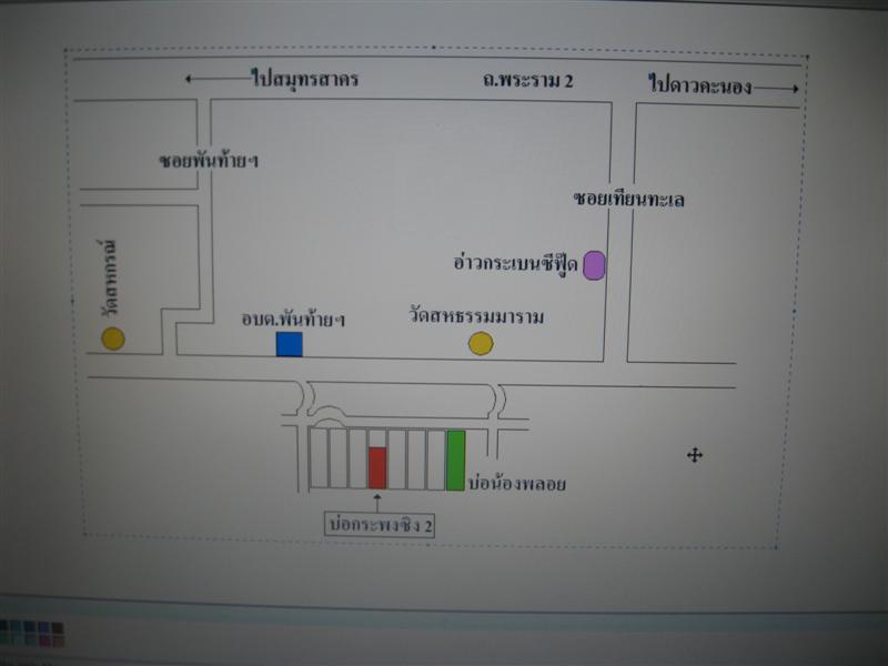 การแข่งขันตกปลากระพง (พิเศษ) จัดโดย ปลายางทีม