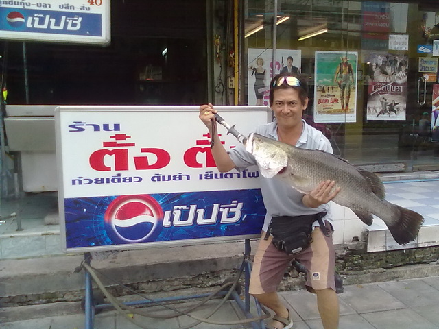 กะพงของ ตัง ตั๋ง