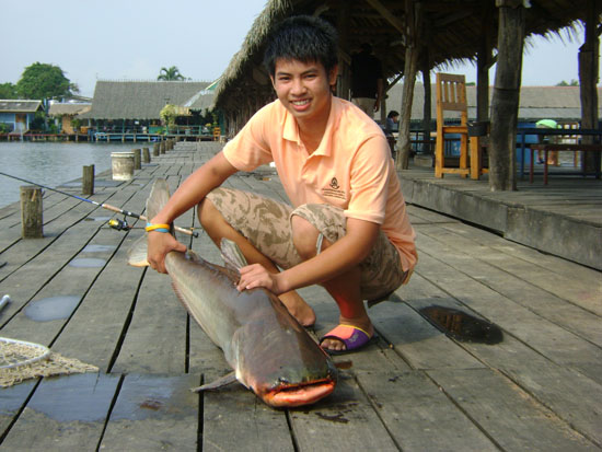 อาทิตย์หน้าใครสนใจไปลุงบ่อเปี๊ยกบางบัวทอง บ้างครับ