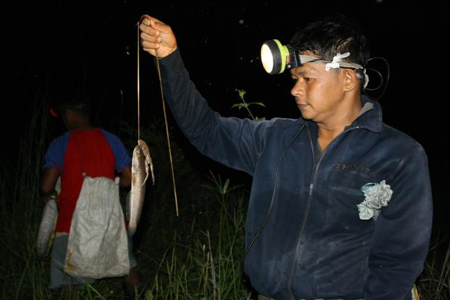 ปักเบ็ดปลาช่อน พิจิตร 