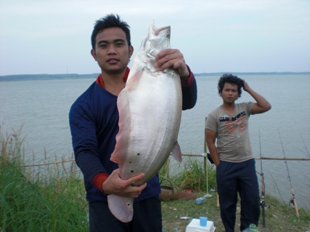 ปลากราย อ่างหนองไร่