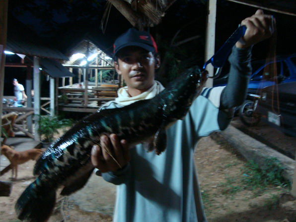 เทส....เหยื่อทำเอง