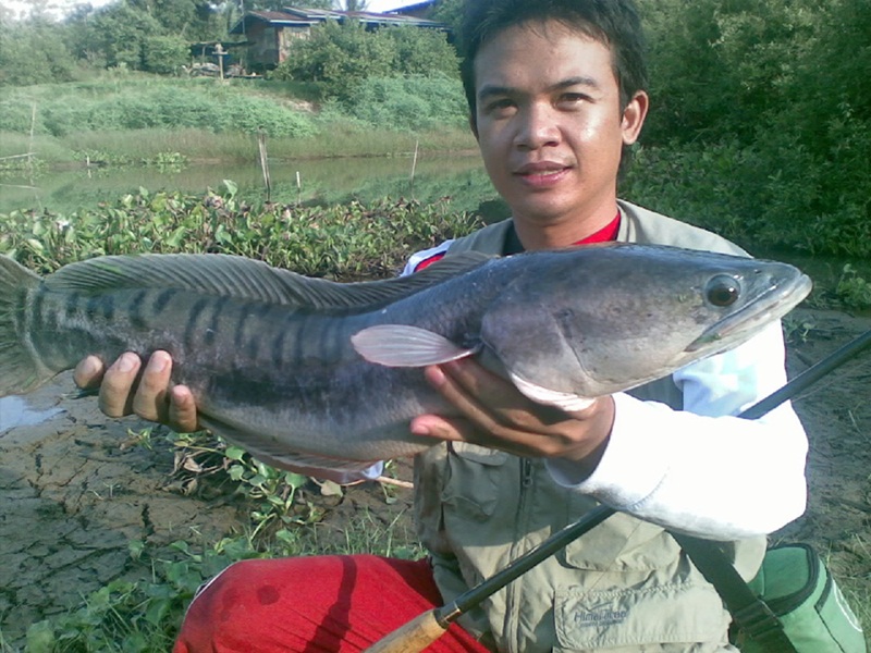 ขอเป็นสมาชิกด้วยคนคร้าบ