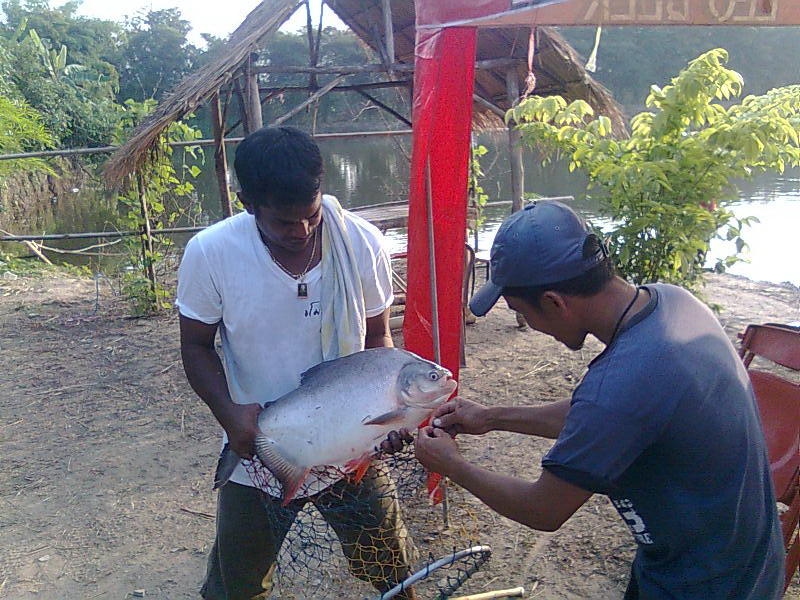 บ่อตกปลาสามารถบึงสามัคคี กำแพงเพชร