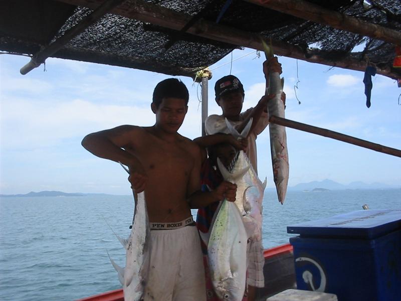 สอบถามเรือตกปลาเกาะช้างครับ