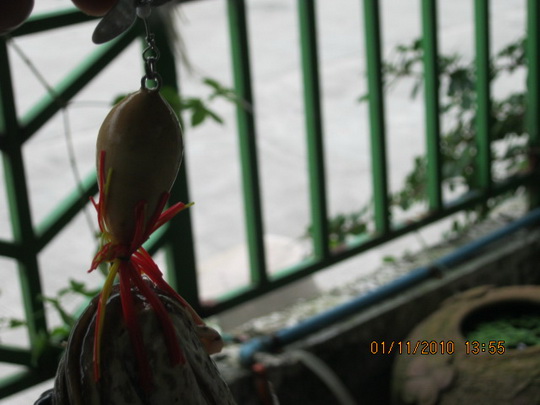 ไม่สวย ........แต่อร่อย