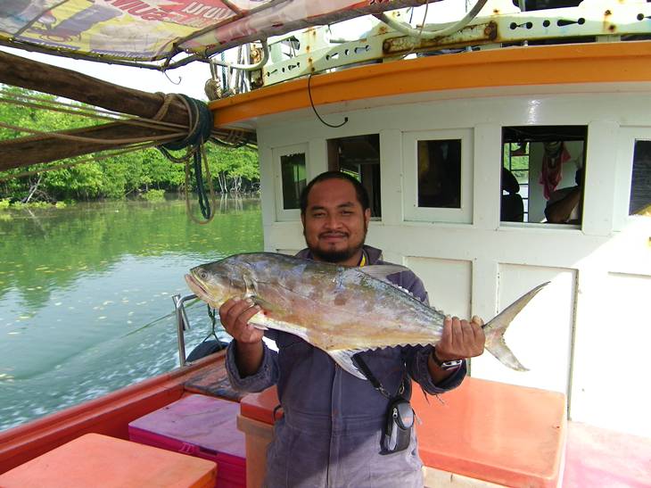 ทริบตราด 7  -  9  พ.ย. ( ไต๋จั่น )