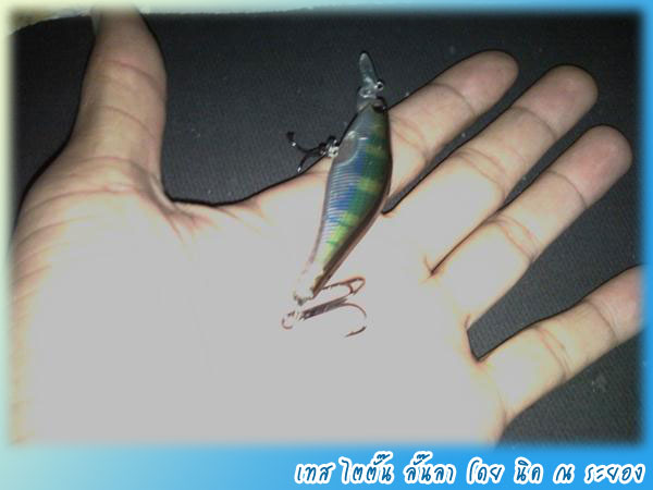 ปลาช่อน ลั๊นลา