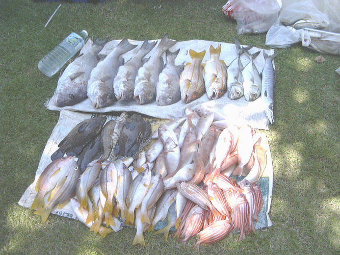 ตลุยเกาะครามกับ 3 ป๋า (เรือเล็ก 2)