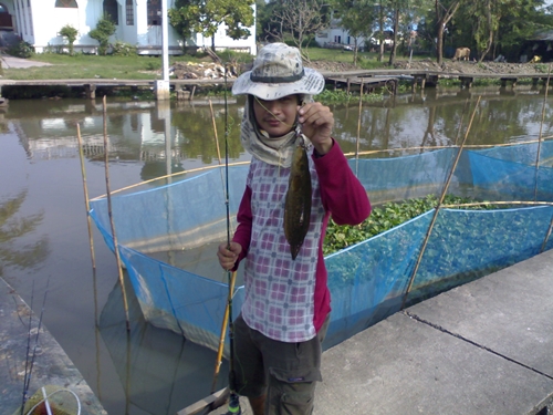 ชำ ๆ ตอน . . . พิเศษ