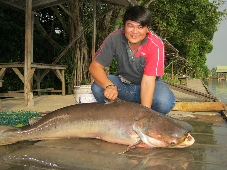 บึกเงาน้ำ โดยทีงาน  TRUE Online Fishing