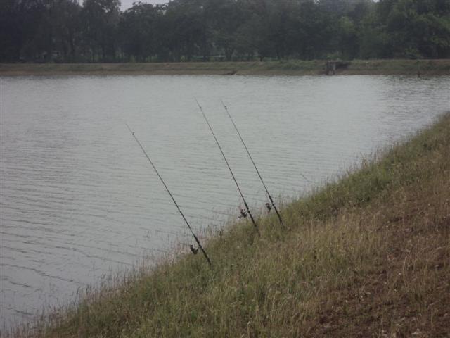 ปลาหน้าหนาว