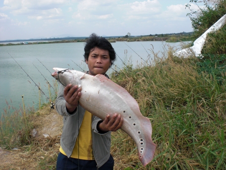ปลากราย อ่างหนองไร่ เสาร์ผ่านมา