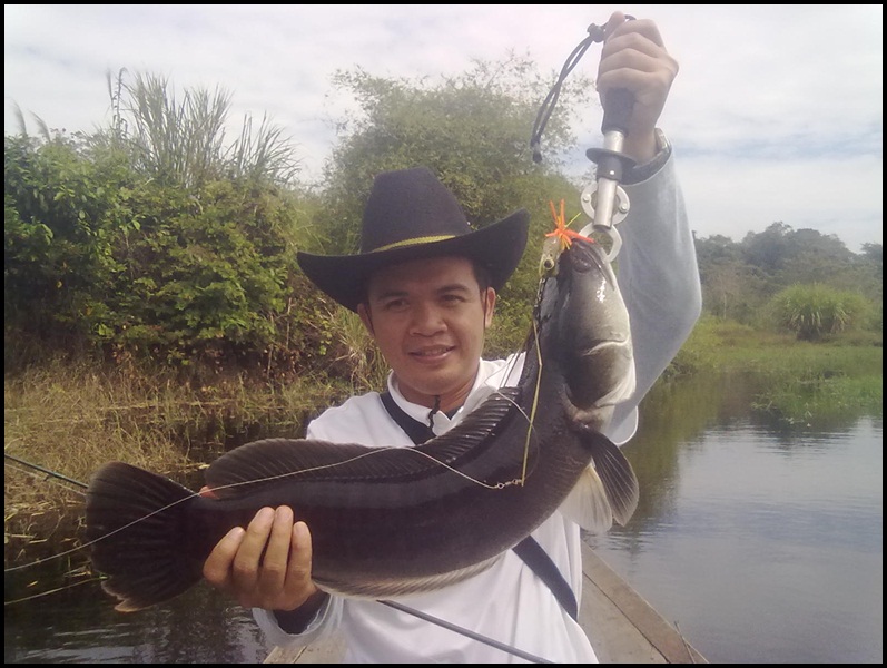 @@@ห้วยแล้งวันลมแรง@@@