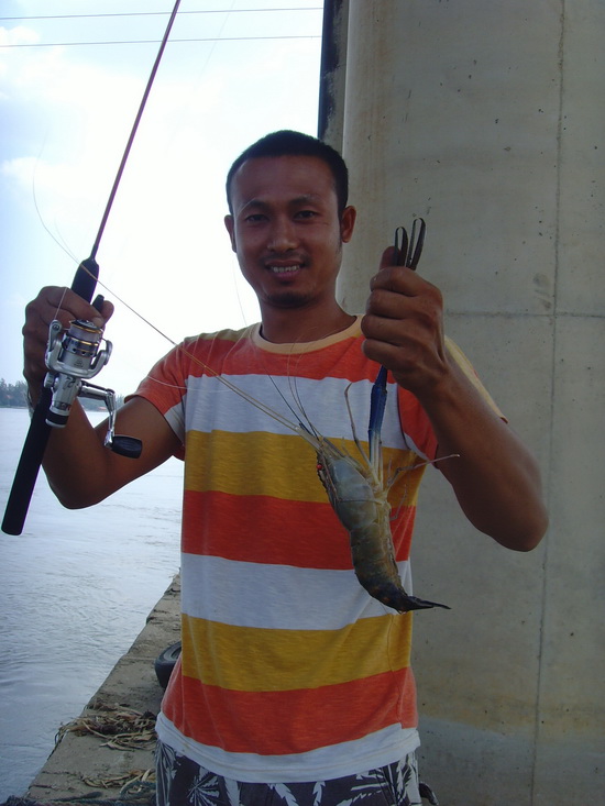 กุ้งใหญ่ยังมี