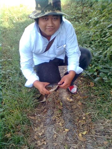 ทีม ริมตลิ่ง น้องใหม่ (ตกปลาช่อน แล้วไปหากระพงกิน)
