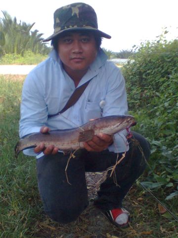 ทีม ริมตลิ่ง น้องใหม่ (ตกปลาช่อน แล้วไปหากระพงกิน)