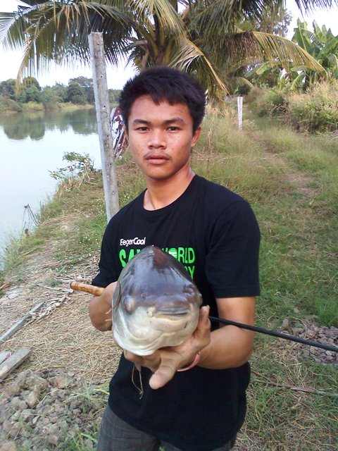 อาทิตย์ไม่ได้ช่อน ได้แต่...