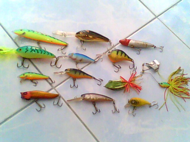 หมายลับที่แม่โจ้