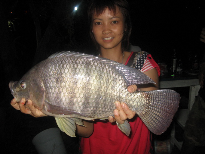 นิลจาตัวสวยๆ
