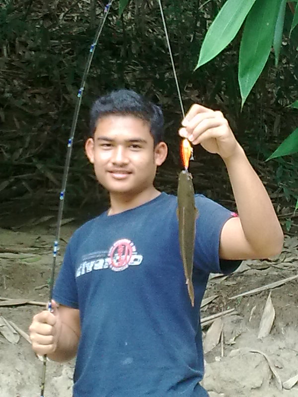 ปลาช่อนคลอง